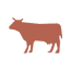 activity_icon3